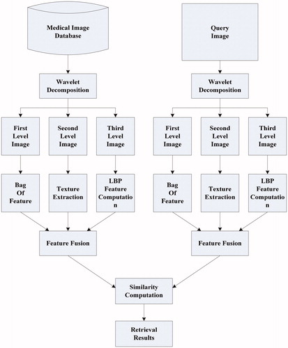 Figure 1. Framework of the proposed method.