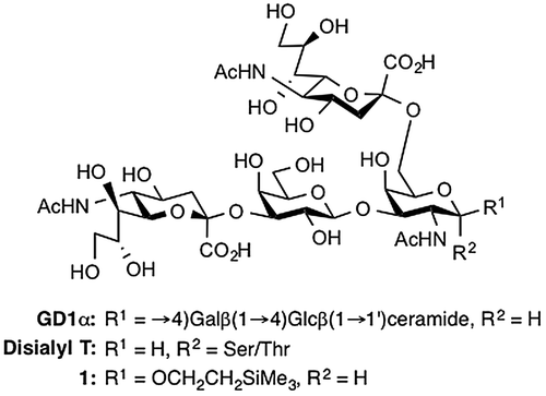 Figure 1. Structure of the target tetrasaccharides.