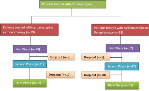 Figure 1 Patients treated with carbamazepine as monotherapy or in combination with other antiepileptic drugs.