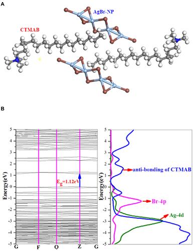 Figure 3 The geometry of (CTMAB)2(Ag2Br4) (A); band structure (left) and projected density of states (right) for (CTMAB)2(Ag2Br4) (B).