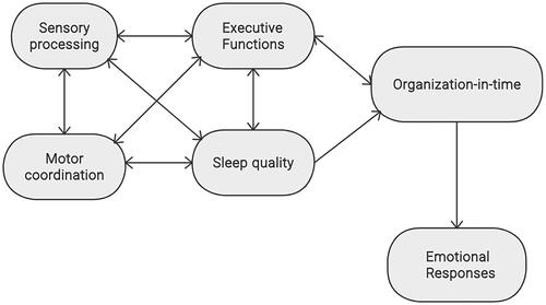 Figure 1. Theoretical model for the relationships between sensory processing, motor coordination, executive functions, sleep quality, and organization-in-time abilities and emotional responses.