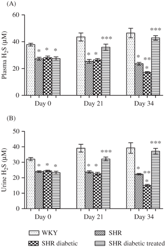 Figure 3. Plasma (A) and urinary (B) hydrogen sulfide (H2S) of Wistar–Kyoto (WKY), spontaneously hypertensive (SHR), SHR diabetic, and SHR diabetic-treated groups of rats. The values are mean ± SEM (n = 6). Statistical analysis was done by one-way analysis of variance (ANOVA) followed by Bonferroni/Dunn all means post hoc test for all groups in respective days.Note: *p < 0.05 versus WKY control; **p < 0.05 versus SHR control; ***p < 0.05 versus SHR diabetic control.