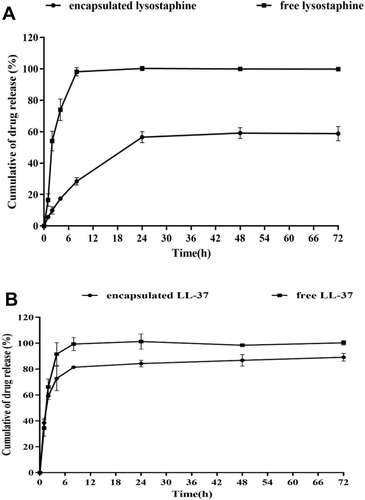 Figure 6 In vitro release profile of (A) lysostaphin and (B) LL-37 from niosomal formulation containing surfactants (span 60, tween 60):cholesterol:DCP at 47:47:6% weight ratio in 50 mL of SWF (pH 7.2) at 37°C for 72 hours.