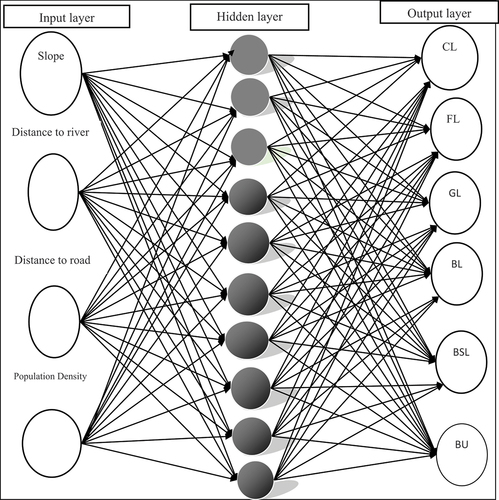 Figure 8. Structure of ANN-MLP model used for the predicting to see LULC transition potential.