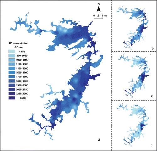 Figure 2 Spatial distribution of total P in the sediments from depths of (a) 0–5 cm, (b) 5–10 cm, (c) 10–20 cm, and (d) 20–30 cm in the Hongfeng Reservoir.