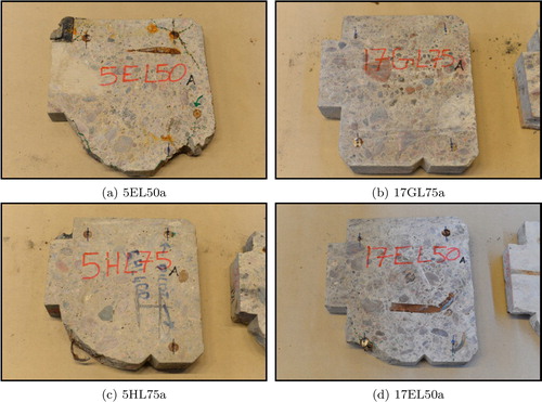 Figure 3. Examples of test specimens with varying deterioration states.