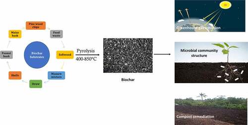 Figure 3. Various substrates utilized in preparation of biochar for diverse applications