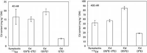 Figure 3  Comparison of the symplastic Cd content in the roots between the 113Cd-absorption experiment and the unlabeled Cd-absorption experiment. Values are mean ± standard deviation (n = 3).