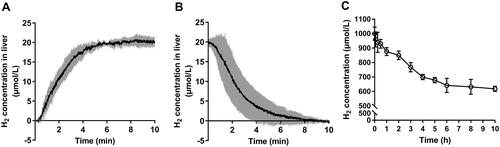 Figure 1 H2 concentration measurement. (A) H2 concentration in the liver of mice during inhalation of 4% H2 (n = 3), (B) H2 concentration in the liver of mice after inhalation of 4% H2 (n = 3), and (C) H2 concentration of HRW in drinking bottled water (n = 3). Data are presented as mean ± SD.