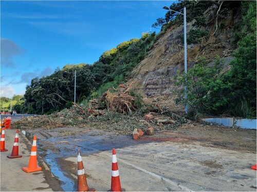 Figure 3. Tamaki Drive land slip after the extreme rainfall event on 27th January 2023. In this photograph, a large tree that fell onto the road had already been partially cleared. This is a major road serving the eastern bays of Auckland and it remained closed for several days.