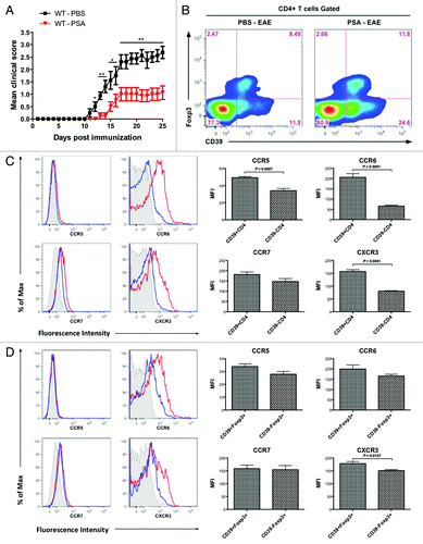 Figure 1. CD39 defines enhanced expression of migratory markers in total CD4 T cells and Foxp3+ CD4 Tregs. Wild-type C57BL/6 mice were treated with 100 μg of purified Bacteroides fragilis PSA or PBS control by oral gavage every 3 d. Treatment was initiated 6 d before the induction of optimal active EAE and terminated 9 d after disease induction. (A) EAE clinic scores were monitored till day 25. Depicted are the combined results of two independent experiments (n = 8, per group). *, P < 0.05; **, P < 0.01 (Mann-Whitney U-test). (B) Cervical lymph nodes (CLNs) were harvested from mice of day 18 EAE. Expression of CD39 vs. Foxp3 on CD4 T cells was analyzed by flow cytometry. Representative flow plots for indicated groups are shown. (C) CD39+ CD4 T cells have elevated migratory signatures as compared with CD39- CD4 T cells. CD39+ and CD39- CD4 T cells sourced as in (B) were flow profiled for the expression of each indicated chemokine receptor. Left, representative histograms for individual marker. Red line, CD39+CD4 T cells; blue line, CD39-CD4 T cells; gray shade, isotype. Right, MFI value for individual marker was quantified and compared. (D) CD39+ Foxp3+CD4 Tregs have elevated migratory signatures as compared with CD39- Foxp3+CD4 Tregs. Similar as in (C), CD39+ and CD39- Foxp3+CD4 Tregs subsets were analyzed for the expression of each indicated chemokine receptor. Left, representative histograms. Red line, CD39+Foxp3+ CD4 Tregs; blue line, CD39-Foxp3+ CD4 Tregs; gray shade, isotype. Right, MFI quantification and comparison. P value was calculated by two-tailed Student’s t test in (C) and (D) (n = 4–5 for each group).