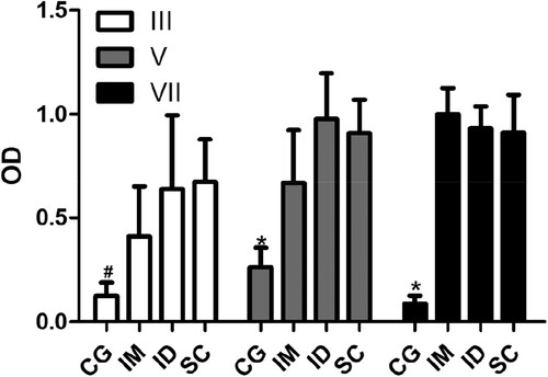 Figure 1. Effects of the inoculation of antigen on the production of specific antibodies. The levels of antibody (IgY) anti-human IgG from serum collected 7 days after the third (III), fifth (V), and seventh inoculation (VII) from animals without inoculation (CG) and inoculated through intramuscular (IM), intradermal (ID), or subcutaneous routes (SC) were determined by indirect enzyme-linked immunosorbent assay (ELISA). The data are shown as mean and standard deviation. #Significant difference between the CG and ID and SC groups (Dunn, P < .007). *Significant difference between CG and IM, ID, and SC groups (Bonferroni, P < .0001).