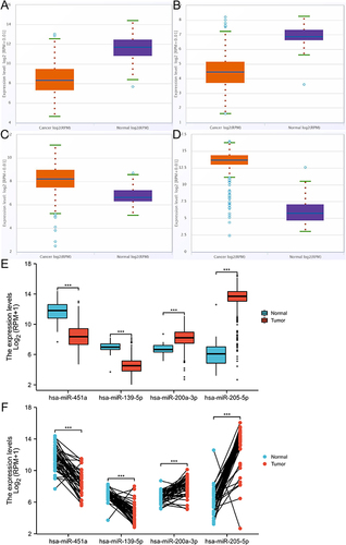 Figure 2 The expression of DEMs in tumor tissues using “starbase” and TCGA. (A–D) was “starbase” tool, (E and F) was TCGA. (A) the expression of hsa-miR-451a; (B) The expression of hsa-miR-139-5p; (C) The expression of hsa-miR-200a-3p; (D) The expression of hsa-miR-205-5p; (E) The expression of DEMs in paired samples; (F) The expression of DEMs in unpaired samples.***P<0.001.