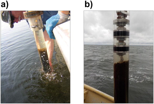 Figure 1. Sediment cores collected from (a) Lake of the Woods, Ontario, using a Glew-type gravity corer, and (b) Mille Lacs, Minnesota, using a Livingstone-type piston corer. The photos were taken by Kathleen Rühland (Lake of the Woods) and Heidi Rantala (Mille Lacs).