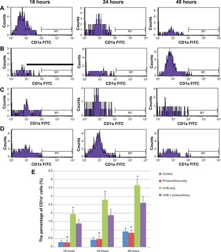 Figure 1 The percentage of CD1a+ cells was detected by flow cytometry (A–D) and the results of the four groups were compared at the different time points (E).