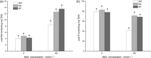 Figure 6. Na+ content (a) and K+ content (b) in WT and transgenic lines.