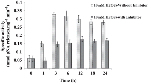 Fig. 6. Caspase-3-like activity in Chlamydomonas reinhardtii. Data represent the values of caspase-3-like activity with or without inhibitor (Ac-DEVD-CHO) in Chlamydomonas calculated from three independent experiments ± SE.