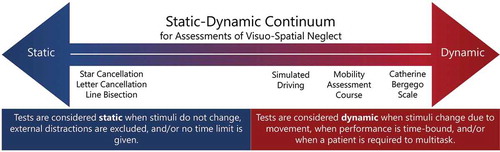 Figure 3. A hypothetical static-dynamic continuum of assessments of VSN with on the one side static tests with low levels of cognitive demands and on the other side dynamic tests with increasing levels of cognitive demand. Examples of tests used in the current study are shown on the continuum.