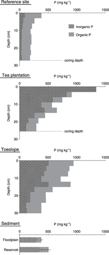 Figure 5  Depth distribution of inorganic and organic phosphorus (P) at different landscape positions, and P concentration in the sediments. Error bars represent the standard deviation of three subsamples.