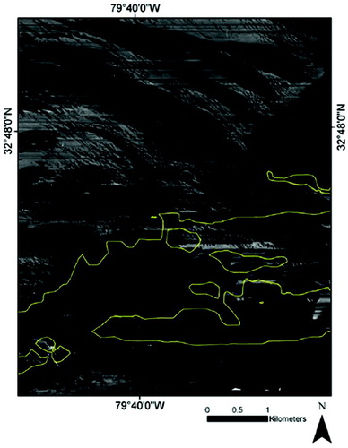 Figure 2. Bedform features located near the −10 m bathymetric contour (in yellow). Bathymetry derived from 1958 NOAA hydrographic data.
