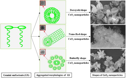 Anionic gemini surfactants were reasonably designed and developed. And the aggregation morphology can be adjusted via changing tail chain length and concentration, which is suitable for shape controllable synthesis of CeO2 nanoparticles.