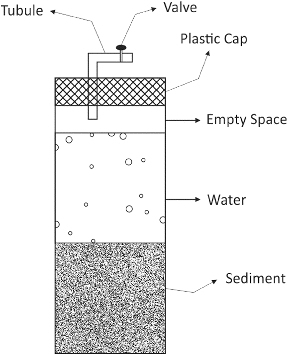 Figure 1. Experimental scheme of the model process.