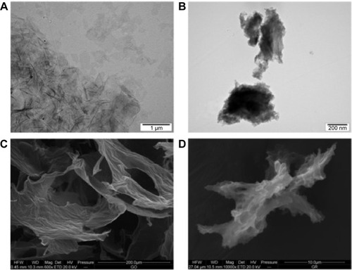 Figure 1 Characterization of graphene oxide (A, C) and reduced graphene oxide (B, D), transmission electron microscopy (A, B) and scanning electron microscopy (C, D).