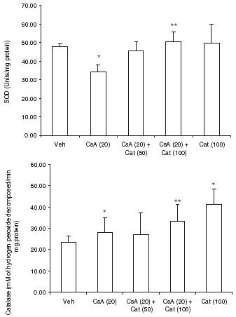 Figure 4. Effect of catechin on superoxide dismutase (upper panel) and catalase (lower panel) activity in CsA treated rats. Values are in mean ± S.E.M. Veh: vehicle, CsA: cyclosporine-A, Cat (50): catechin (50 mg/kg/day), Cat (100): catechin (100 mg/kg/day). *P<0.05, as compared to vehicle, **P<0.05, as compared to CsA alone treated rats.