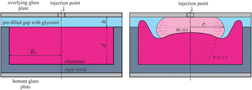 Figure 11. Schematic diagram of an elasto-rigid Hele-Shaw cell: a narrow gap between a rigid horizontal top plate and an elastomer confined within a rigid mould (left); fluid injected into the compliant Hele-Shaw cell at a constant flow rate spreads outwards, with a radial front position rf, deforming the elastomer and displacing fluid resident in the cell; Adapted from [Citation168].