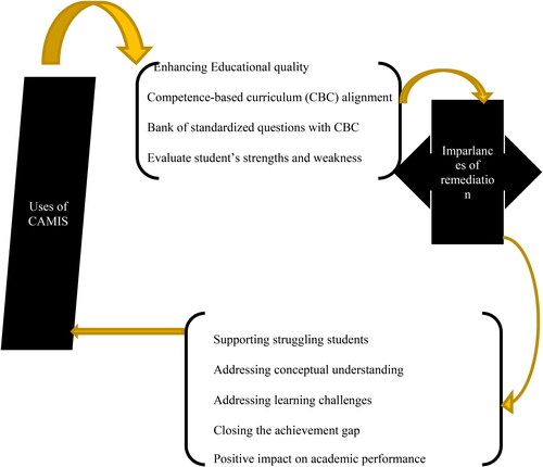 Figure 1. Lifecycle representing the interconnection between CAMIS and remediation.