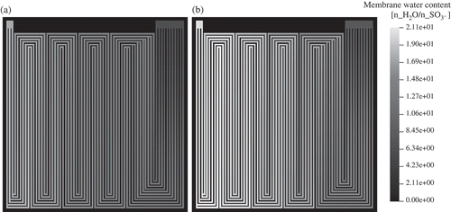 Figure 8. Membrane water content in number of water molecules per sulfonic acid group ((a) anode, (b) cathode).