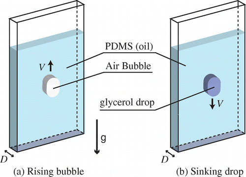 Figure 1. (colour online) Illustration of experiment for a rising bubble (a), and for a sinking drop (b). The Hele-Shaw cell is made up of transparent acrylic plates. The cell thickness is a few millimetres and the size of the bubble or drop is about one centimetre. The width and height of the cell is much larger than the size of the drop.