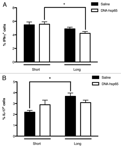 Figure 3. Percentage of IFN-γ - and IL-17-producing cells in mice treated with DNA-hsp65. Lung cell suspensions were stained for intracellular detection of (A) IFN-γ or (B) IL-17. *p < 0.05 by two-way ANOVA with Bonferroni post-test. The data are presented as the means ± SEM of 7 mice per group of a representative experiment.