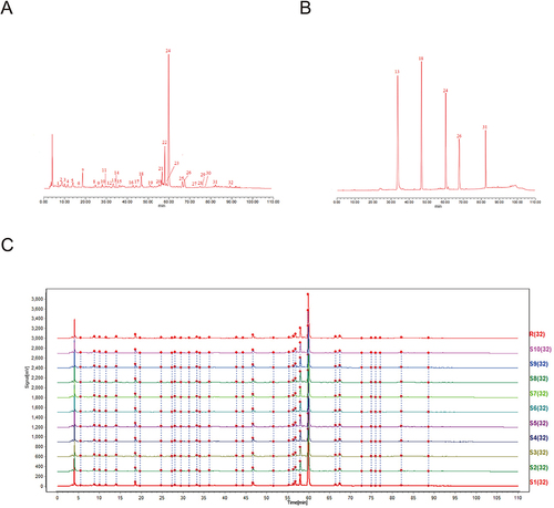 Figure 1 HPLC of YXT Granules. (A) HPLC of YXT Granules test sample; (B) HPLC of YXT Granules mixed reference substance; (C) Ten batches of YXT fingerprint overlay (S1-S10) and control fingerprint (R).