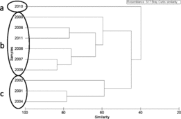 FIGURE 5. Cluster analysis using the similarity profile (SIMPROF) procedure, which identified three groupings of yearly average diets for juvenile steelhead collected off the coasts of Washington and Oregon.