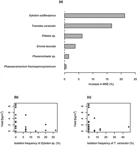 Figure 2. Random forest estimates of relative importance (% of increase of mean square error) of each fungal species detected using benomyl-amended medium for predicting shiitake yield (a). Relationship between the isolation frequency of Xylodon subflaviporus (b) and Trametes versicolor (c) mycelia and mushroom yield. MSE: mean squared error