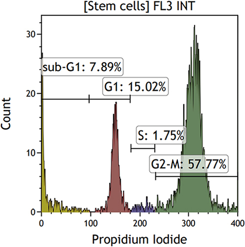 Figure 5 Cytometric evaluation of the cell cycle phases of the analyzed MSCs. Navios Cytometer (Beckman Coulter).