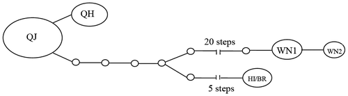 Figure 2. TCS haplotype network showing genealogical relationships among 12 populations of Dysmicoccus brevipes. Haplotypes are connected with a 90% CL. White dots represent mutational steps separating the observed haplotypes, and the size of each oval is proportional to the frequency of the haplotypes in the analysis.