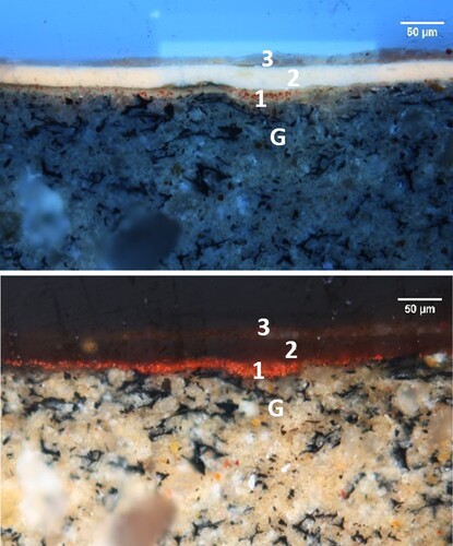 Figure 6. Cross-section photomicrographs under visible (below) and ultraviolet light (top) showing layers from the round table. Photomicrographs by Herant Khanjian.