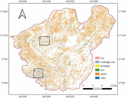 Figure 11. Results of the parcel-based crop classification for Guizhou using the proposed method.