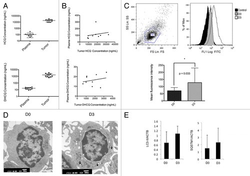 Figure 2. Assessment of pharmacodyanmic response. Concentrations of hydroxychloroquine (HCQ) and the metabolite N-desethylhydroxychloroquin (DHCQ) in dogs administered 12.5 mg/kg HCQ daily were significantly higher in tumor tissues compared with plasma [HCQ (P < 0.0001) and DHCQ (P = 0.0003)] (A). There was no significant correlation between plasma and tumor HCQ or DHCQ concentrations (Pearson correlation = 0.143 and 0.238, P = 0.695 and 0.537) (B). PBMCs were isolated from whole blood before and 3 d post HCQ administration. The representative plot shows gating of cells and histograms demonstrate the increase of LC3 positive cells after HCQ administration (C). Overall there was a significant increase in the mean fluorescence intensity post HCQ. Representative EM images of PBMCs taken pre and post HCQ administration. There is an increase in autophagic vesicles after HCQ treatment, indicated by arrows (D). Tumor biopsies were taken before and 3 d post HCQ administration. Western blot analysis was performed on biopsies to determine expression of LC3-II. Though not significant, both increased overall after treatment (E).