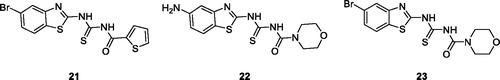 Figure 13. Morpholine based thiourea bromobenzothiazoles 22–24.