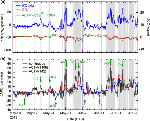 Fig. 5. Temporal variations in (a) δ(O2/N2) and CO2 and (b) APO observed at Ny-Ålesund for the period from 9 May to 29 June 2013. Green arrows marked a-1–a-5 and b-1–b-6 represent the times when air parcels were released for the backward trajectory calculations (see Fig. 8). The model-calculated CO2 mole fractions with only air–sea CO2 flux ([CO2]OC, T106) are given in panel (a), and the results of the model APO simulations with both resolutions (T42 and T106) are shown in panel (b). Each value plotted for δ(O2/N2), CO2 and APO was obtained as a deviation from the corresponding best-fit curve shown in Fig. 2. Grey shaded times represent the time intervals regarded as ‘high APO’, defined as over 10 per meg of ΔAPO, in the backward trajectory calculations (see Fig. 6). The vertical axis of APO is scaled 2 times compared to that of δ(O2/N2).