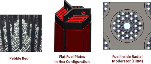 Fig. 1. Alternative FHR fuel designs.