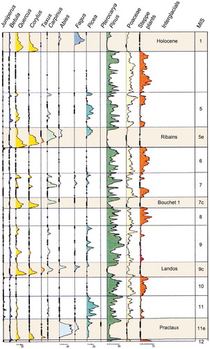 Figure 3. Summary pollen diagram of the composite long pollen sequence from the Velay Plateau in the south-eastern part of the French Massif Central. The interglacial stages are shaded in pale brown and the corresponding marine isotope stages (MIS) are shown. Note the change between interglacial stages with dominant temperate trees and cold, dry glacial stages with dominant Poaceae and steppe taxa. The Holocene is MIS 1, the Ribains interglacial is MIS 5e (= Eemian), the Bouchet I interglacial is MIS 7c, the Landos interglacial is MIS 9e, and the Praclaux interglacial is MIS 11e (= Holsteinian). Redrawn and modified from de Beaulieu et al. (Citation2001).