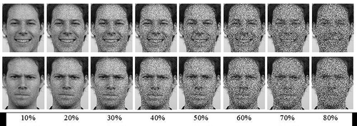 Figure 1. Examples of a male happy face and a male angry face, image noise levels of 10 until 80%