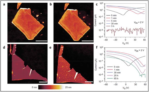 Figure 18. AFM characterization of BP morphology before and after ambient exposure. (a) BP flake immediately after functionalization with 10 mM 4-NBD for 30 min. (b) The same flake as in a after 10 days of ambient exposure. (d) Pristine BP flake immediately after exfoliation. (e) The same flake as in d after 10 days of ambient exposure has distinct morphological protrusions indicative of chemical degradation. (c) Transfer curves for an exfoliated BP FET as a function of exposure time to 10 mM 4-NBD demonstrate strong p-type doping and show a loss of conduction. VDS, drain-source voltage. (f) Transfer curves for an exfoliated BP FET as a function of exposure time to 1 μM 4-NBD. Adapted with permission from ref 105. Copyright © 2016 Nature Publishing Group.