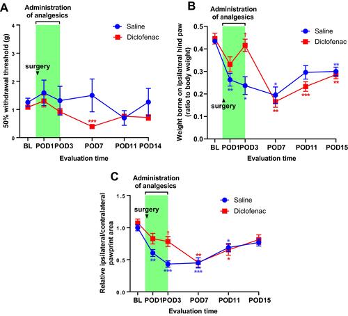 Figure 6 Effects of analgesics on pain-like behaviors after F/P surgery.