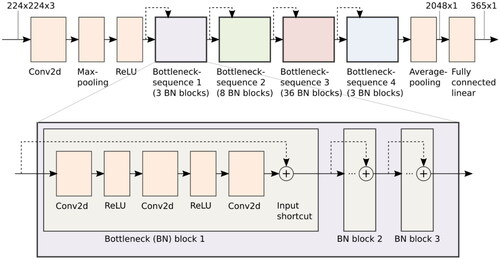 Figure A1. Schematic visualization of our ResNet-152 implementation. Most layers are contained in bottleneck blocks inside one of four bottleneck sequences and thus not shown. Each bottleneck sequence reduces the resolution and increases the number of feature maps. The dashed arrows depict the residual connections (i.e., addition of intermediate results from previous layers, which are the distinctive feature of the ResNet architecture).