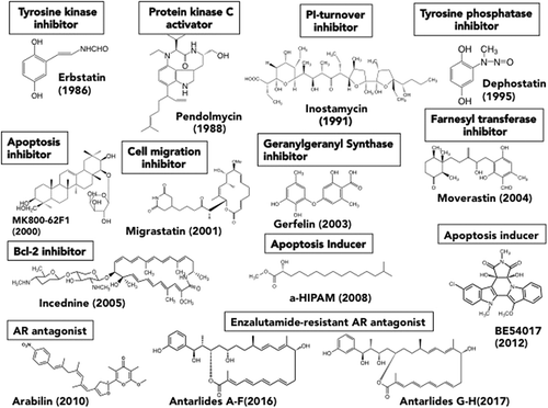 Figure 1. Structures of the novel compounds isolated from the natural product screening targeting characteristics of cancer cells.